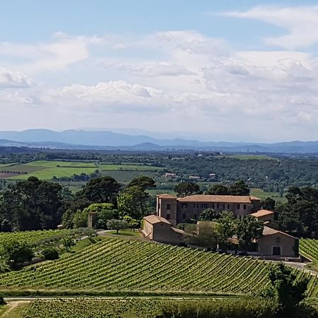 La Pinede, Logement Privatif Au Chateau Aumes Extérieur photo