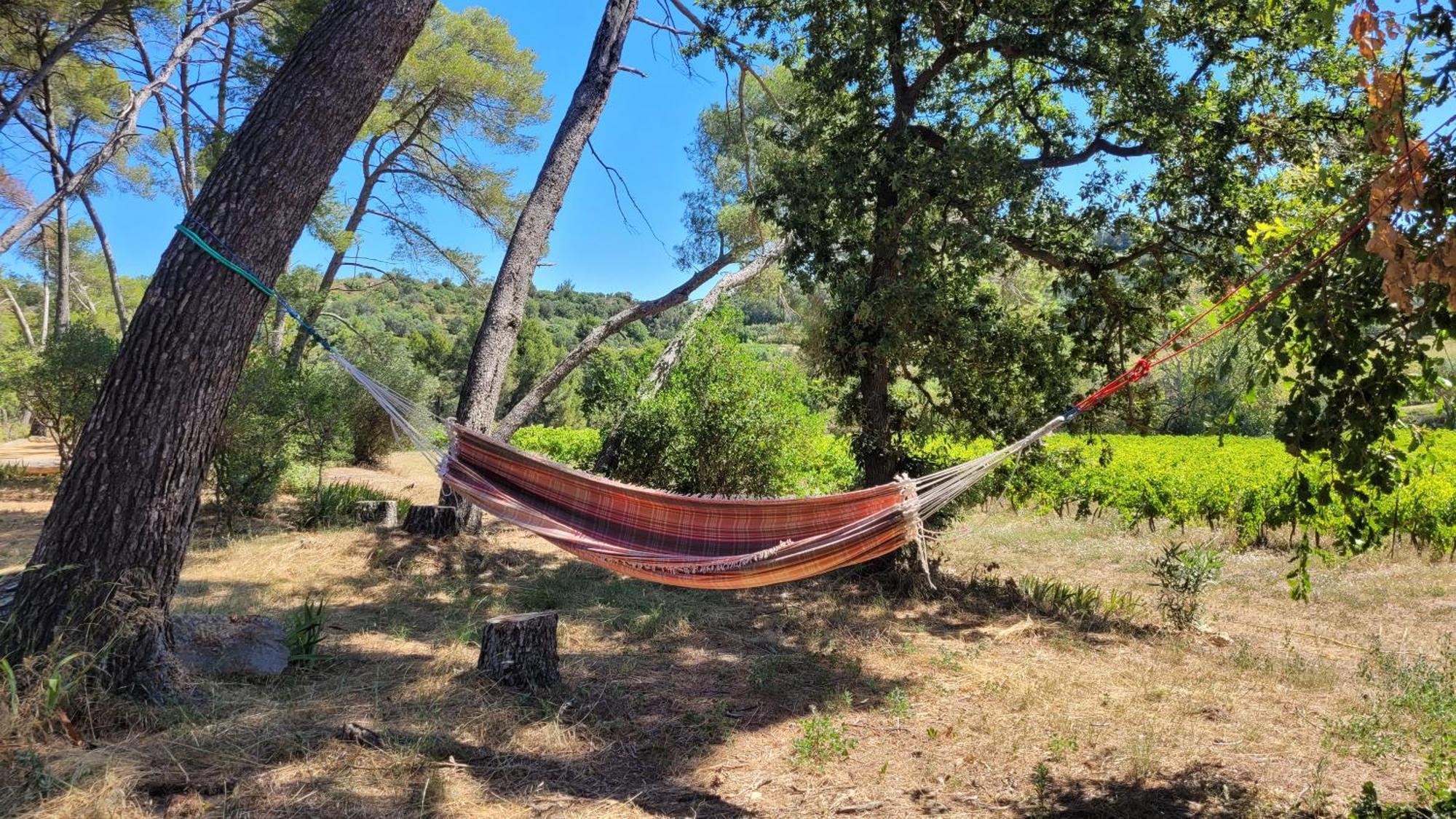 La Pinede, Logement Privatif Au Chateau Aumes Extérieur photo